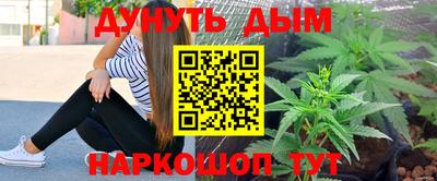 прущие крисы Шахты