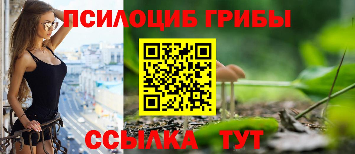 Псилоцибиновые грибы GOLDEN TEACHER  как найти наркотики  Вход с VPN  Бугуруслан  Псилоцибиновые грибы мухоморы 